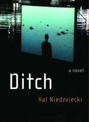 Ditch by Hal Niedzviecki
