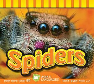 Spiders by Aaron Carr