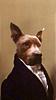 sara_b_wondering's profile picture