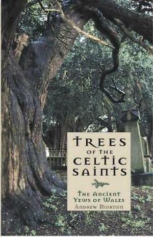 Trees of The Celtic Saints: The Ancient Yews of Wales by Andrew Morton
