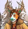 galois's profile picture