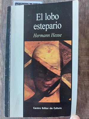 El lobo stepario by Manuel Manzanares, Hermann Hesse