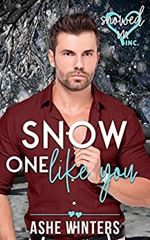 Snow One Like You by Ashe Winters