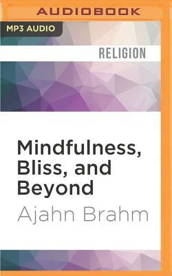Mindfulness, Bliss, and Beyond: A Mediator's Handbook by Ajahn Brahm