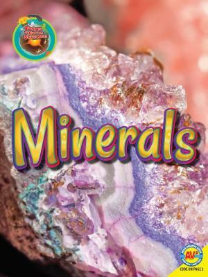 Minerals by Patricia Miller-Schroeder