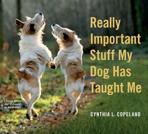 Really Important Stuff My Dog Has Taught Me by Cynthia L. Copeland