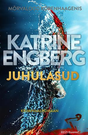 Juhulasud by Katrine Engberg