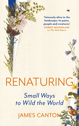 Renaturing: Small Ways to Wild the World by James Canton