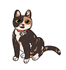 starling_illu's profile picture