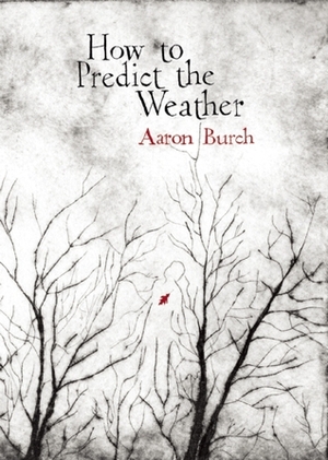 How to Predict the Weather by Aaron Burch