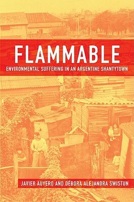 Flammable: Environmental Suffering in an Argentine Shantytown by Javier Auyero, Debora Alejandra Swistun