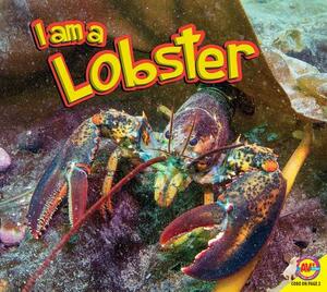 I Am a Lobster by Jared Siemens