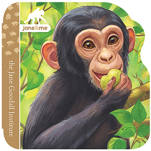 Chimpanzees by Jaye Garnett