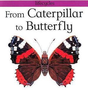 From Caterpillar to Butterfly by Gerald Legg, Gerald Legg