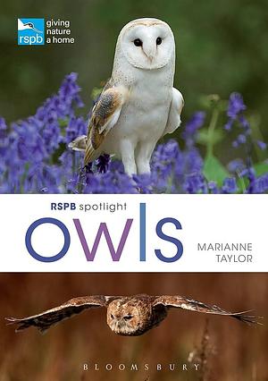 RSPB Spotlight Owls by Marianne Taylor