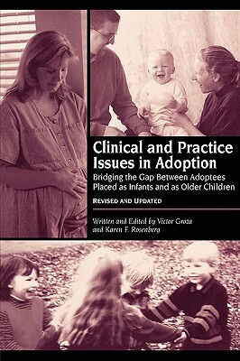 Clinical and Practice Issues in Adoption--Revised and Updated: Bridging the Gap Between Adoptees Placed as Infants and as Older Children by Victor K. Groza, Karen F. Rosenberg