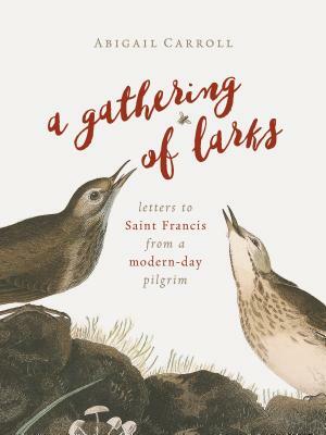 A Gathering of Larks: Letters to Saint Francis from a Modern-Day Pilgrim by Abigail Carroll