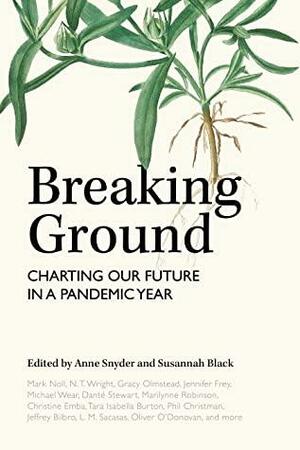 Breaking Ground: Charting Our Future in a Pandemic Year by Mark Noll, Anne Snyder