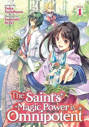 The Saint's Magic Power is Omnipotent (Light Novel) 1 by Yuka Tachibana, Yasuyuki Syuri