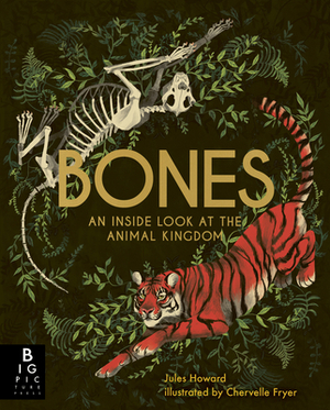 Bones: An Inside Look at the Animal Kingdom by Jules Howard