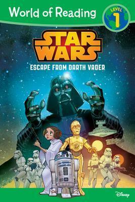 Star Wars Escape from Darth Vader by Michael Siglain
