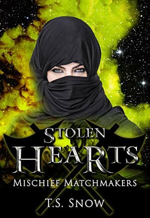 Stolen Hearts by T.S. Snow