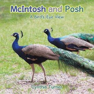 McIntosh and Posh: A Bird's-Eye View by Cynthia Turner