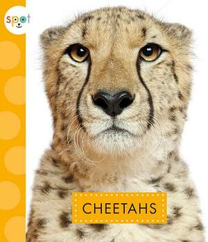 Cheetahs by Mary Ellen Klukow