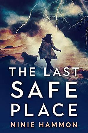 The Last Safe Place by Ninie Hammon