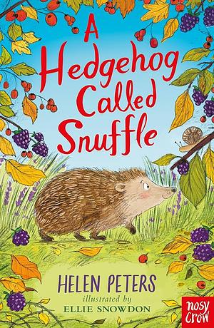 A Hedgehog Called Snuffle by Helen Peters