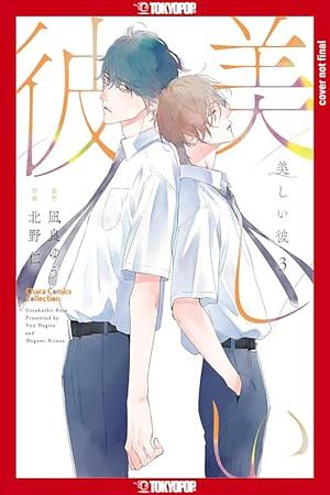 My Beautiful Man, Volume 3 by Megumi Kitano