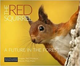 The Red Squirrel: A Future in the Forest by Neil McIntyre, Polly Pullar