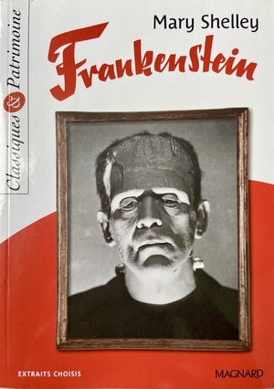 Frankenstein, ou, le Prométhée moderne by Mary Shelley