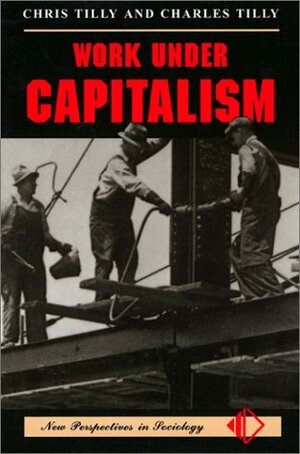 Work Under Capitalism (New Perspectives in Sociology (Boulder, Colo.) by Charles Tilly, Chris Tilly