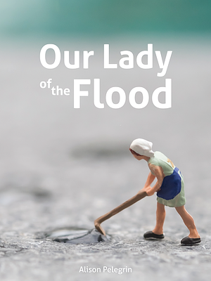 Our Lady of the Flood by Alison Pelegrin