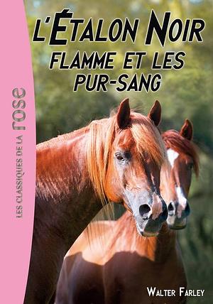 Flamme et les pur-sang by Walter Farley