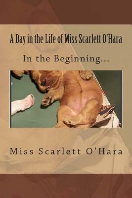 A Day in the Life of Miss Scarlett O'Hara: In the Beginning by Scarlett O'Hara