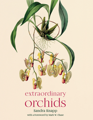 Extraordinary Orchids by Sandra Knapp