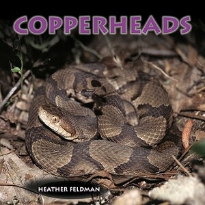Copperheads by Heather Feldman