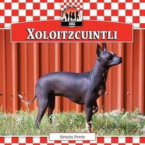 Xoloitzcuintli by Kristin Petrie