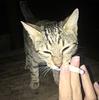 strxnge_effects's profile picture