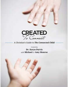 Created to Connect: A Christian's Guide to The Connected Child by Amy Monroe, Karyn Purvis, Michael Monroe