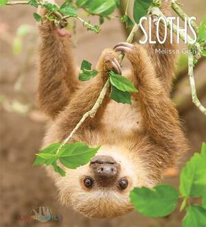 Sloths by Melissa Gish