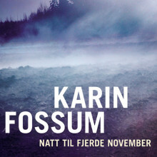 Natt til fjerde november by Karin Fossum