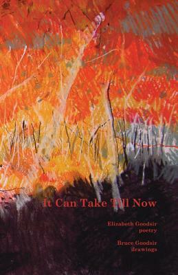 It Can Take Till Now by Elizabeth Goodsir