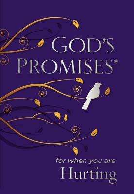 God's Promises for When You Are Hurting by Jack Countryman