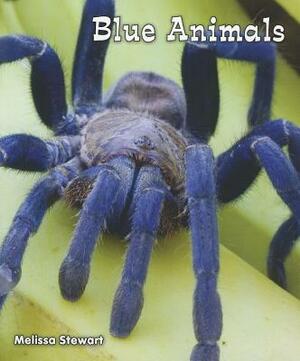 Blue Animals by Melissa Stewart