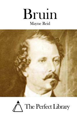 Bruin by Mayne Reid