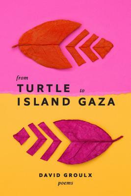 From Turtle Island to Gaza by David Groulx