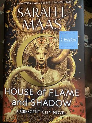 House of flame and shadow by 